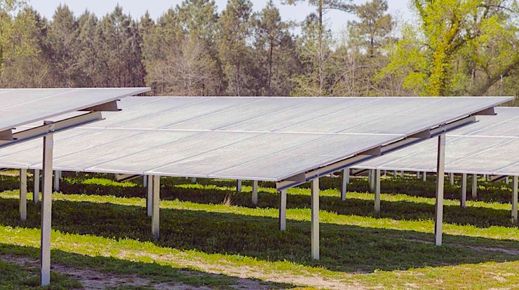 CENTRALE AU SOL - La Croque à Rion-des-Landes innove en photovoltaïqueCette première centrale au sol développée, construite et gérée par Enerlandes, vient d’être inaugurée sur un site de 53.580 m² délaissé de voirie, appartenant au Département.
